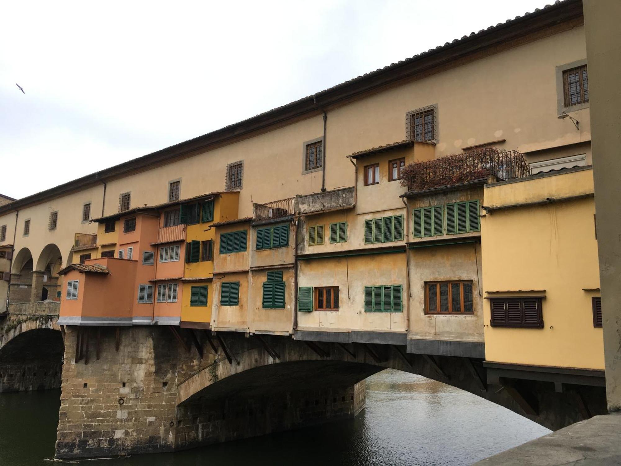 La Tana Dei Leoni Florenz